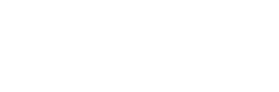 Pagy.co's Logo